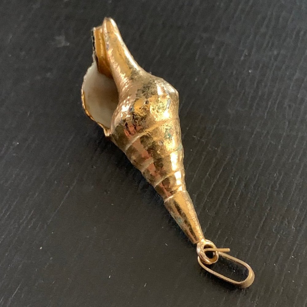 Gold-Dipped Shell | 10k - image 3